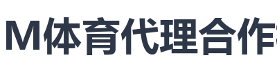 IM体育代理合作模式
